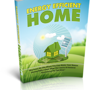 Energy Efficient Home
