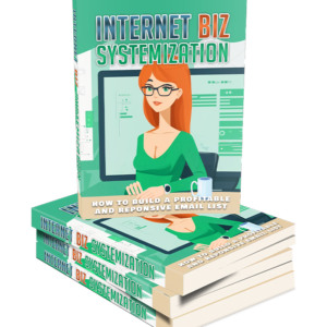 Internet Biz Systemization