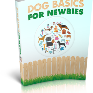 Dog Basics For Newbies
