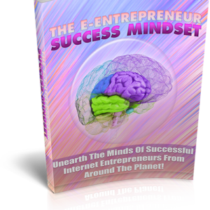 The E-Entrepreneur Success Mindset