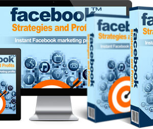 Facebook Strategies and Profits